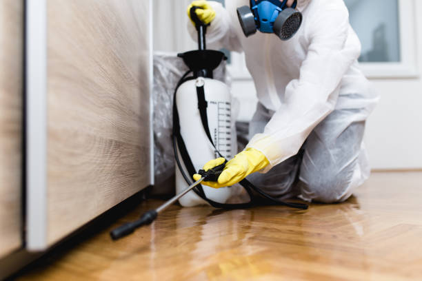 Pest Control Cost in East Cleveland, OH