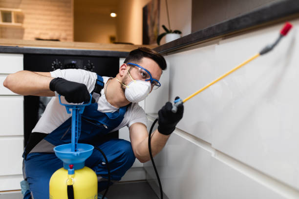Best Termite Control Services  in East Cleveland, OH