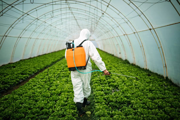 Best Best Pest Control Companies  in East Cleveland, OH