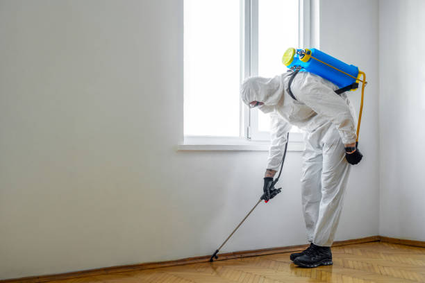 Best Commercial Pest Control Services  in East Cleveland, OH