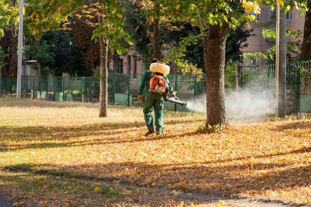 Best Rat Extermination Near Me  in East Cleveland, OH