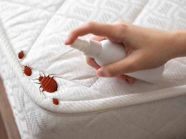 Best Bed Bug Extermination  in East Cleveland, OH