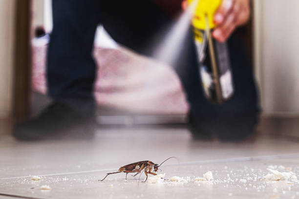 Best Rodent Control Near Me  in East Cleveland, OH