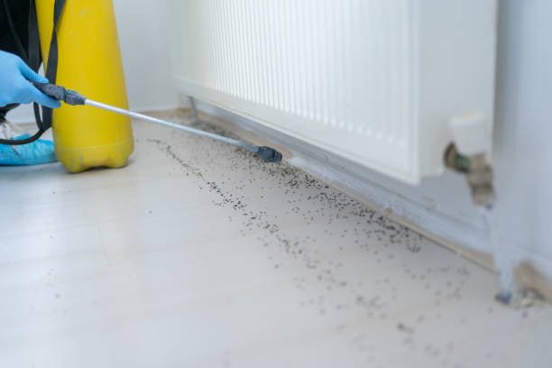 Best Pest Control Cost  in East Cleveland, OH