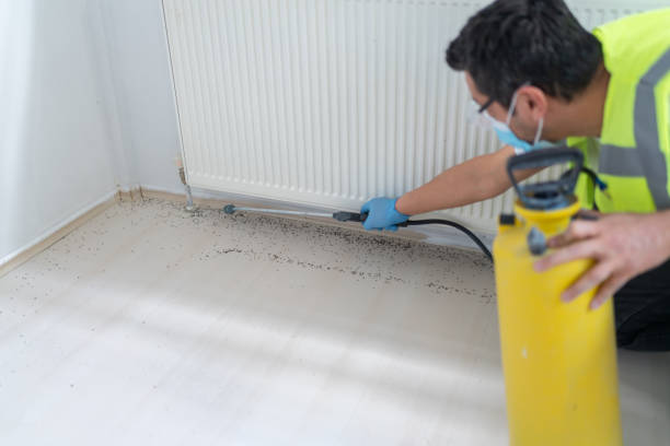 Best Pest Prevention Services  in East Cleveland, OH