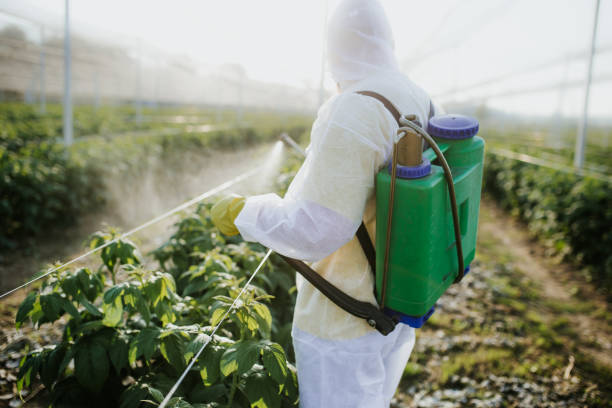 Best Pest Removal Services  in East Cleveland, OH